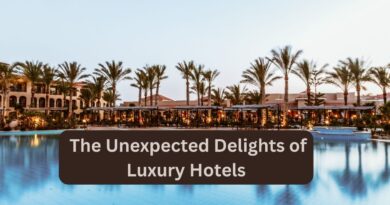 Beyond Opulence: The Unexpected Delights of Luxury Hotels