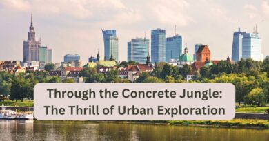 Through the Concrete Jungle: The Thrill of Urban Exploration