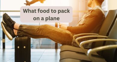 What food to pack on a plane?