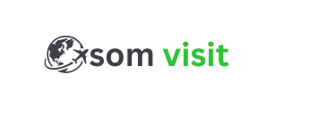 somvisit